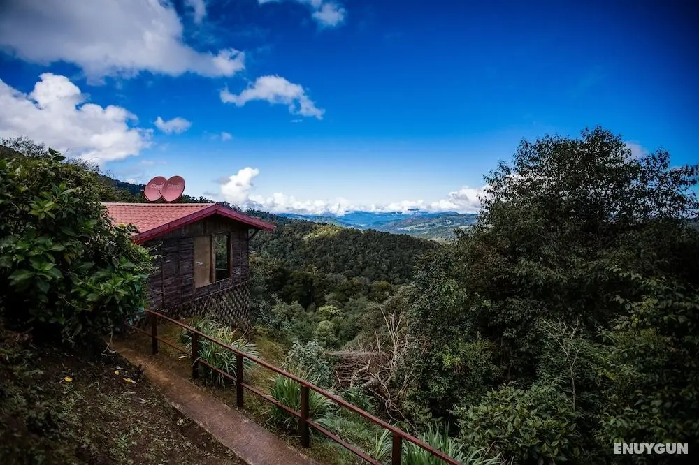 Paraíso Quetzal Lodge - Oda