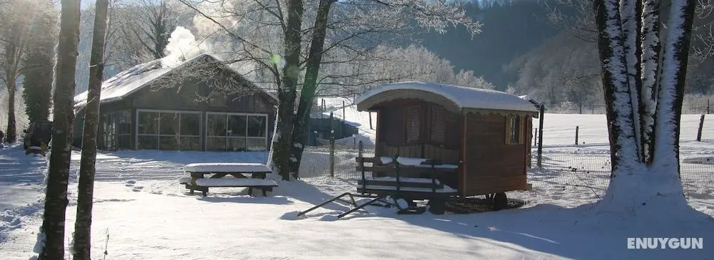 Parc Animalier du Hérisson - Insolite - Öne Çıkan Resim