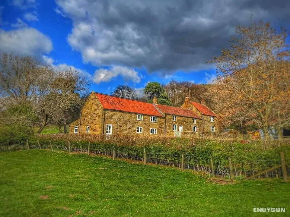 Park House Country Guest House - Öne Çıkan Resim