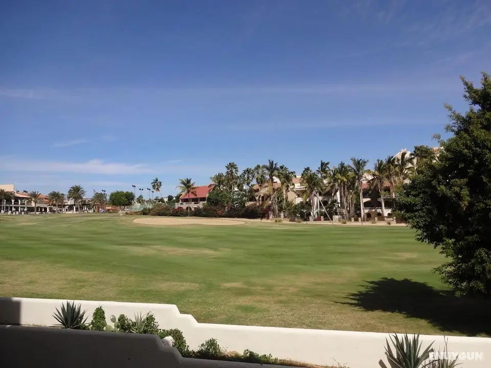 Park Royal Homestay Los Cabos - Aktiviteler
