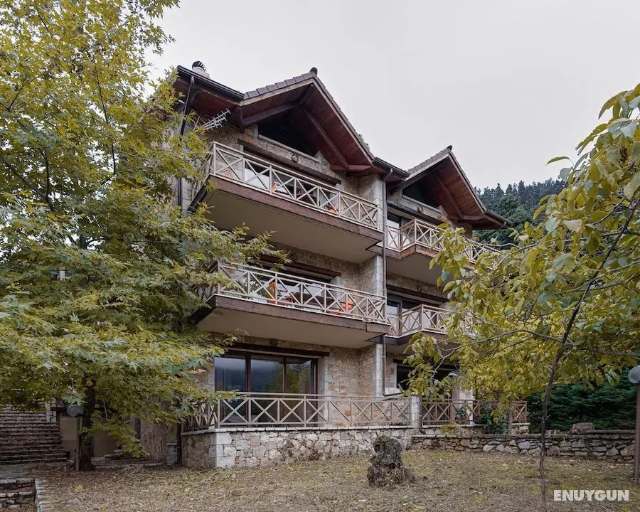 Parnassus Dreamwood Chalet - Öne Çıkan Resim