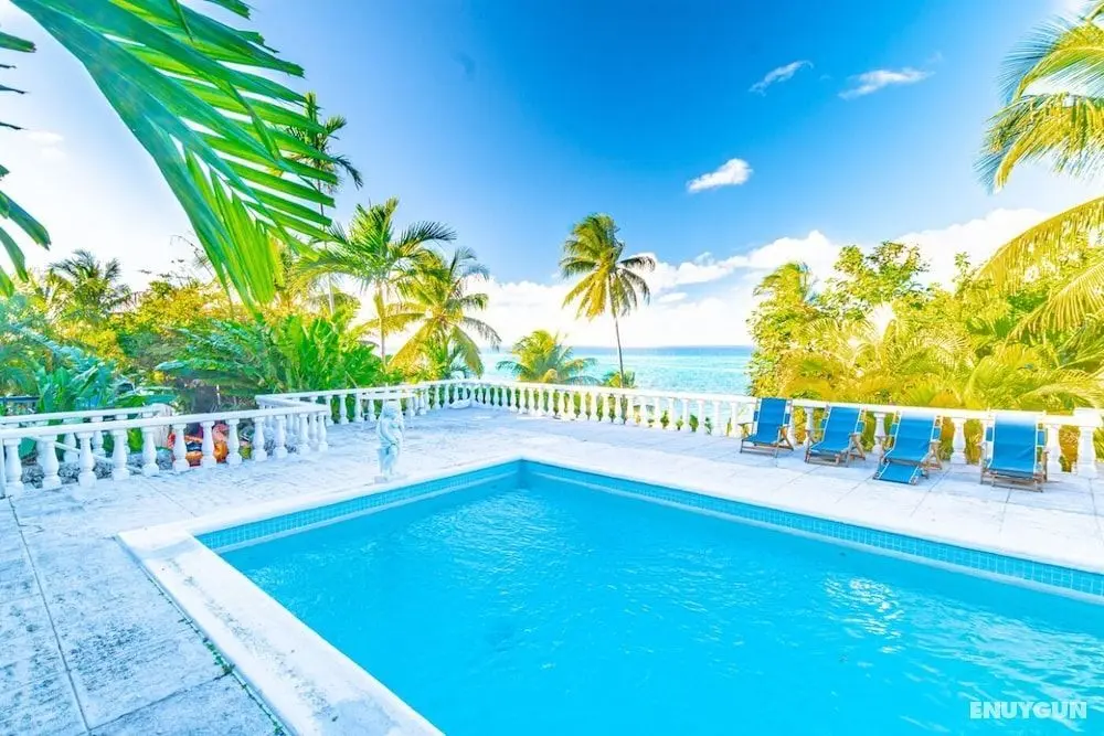 Parrot Cottage at Love Beach Pool - Öne Çıkan Resim