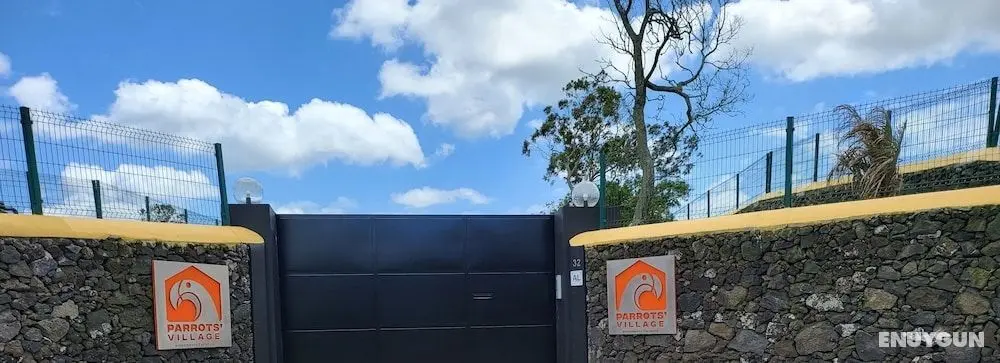 Parrots Village - Öne Çıkan Resim
