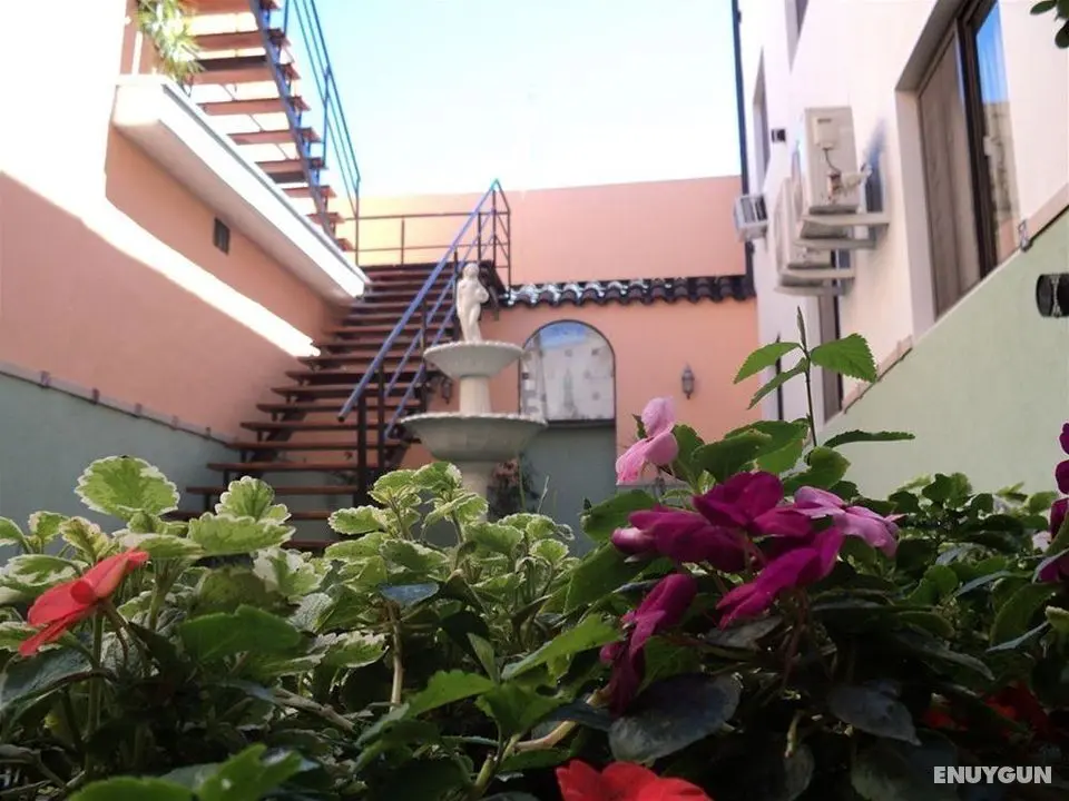 Patios del Mediterraneo - Genel
