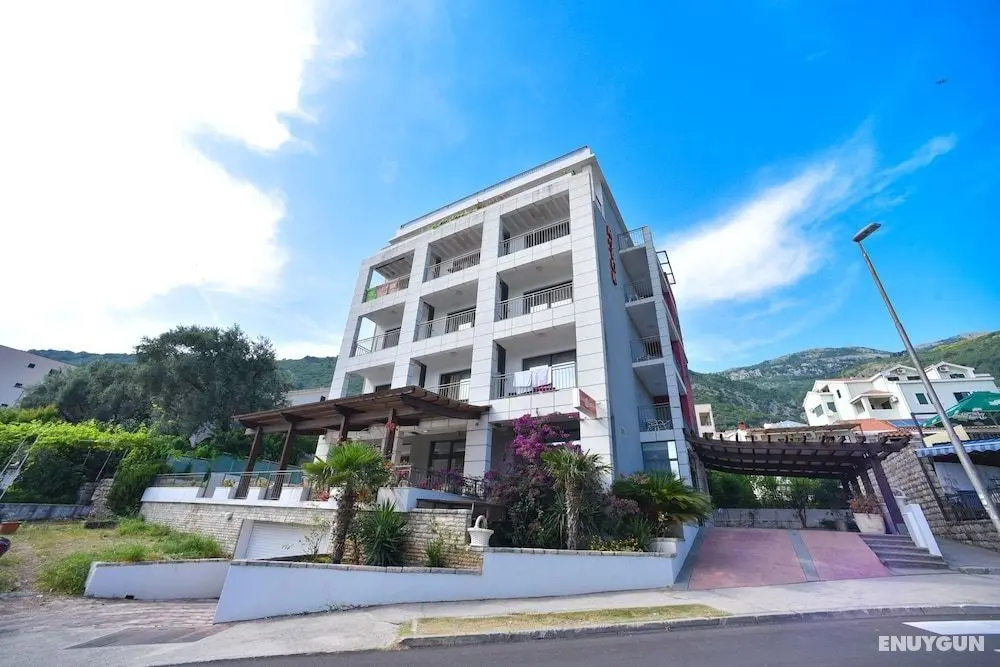 Hotel Paun - Öne Çıkan Resim