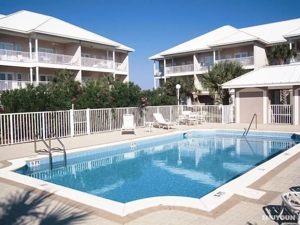 Pavilion Palms - Öne Çıkan Resim