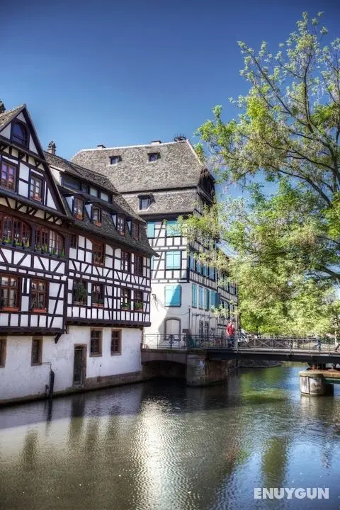 Pavillon REGENT PETITE France - Öne Çıkan Resim