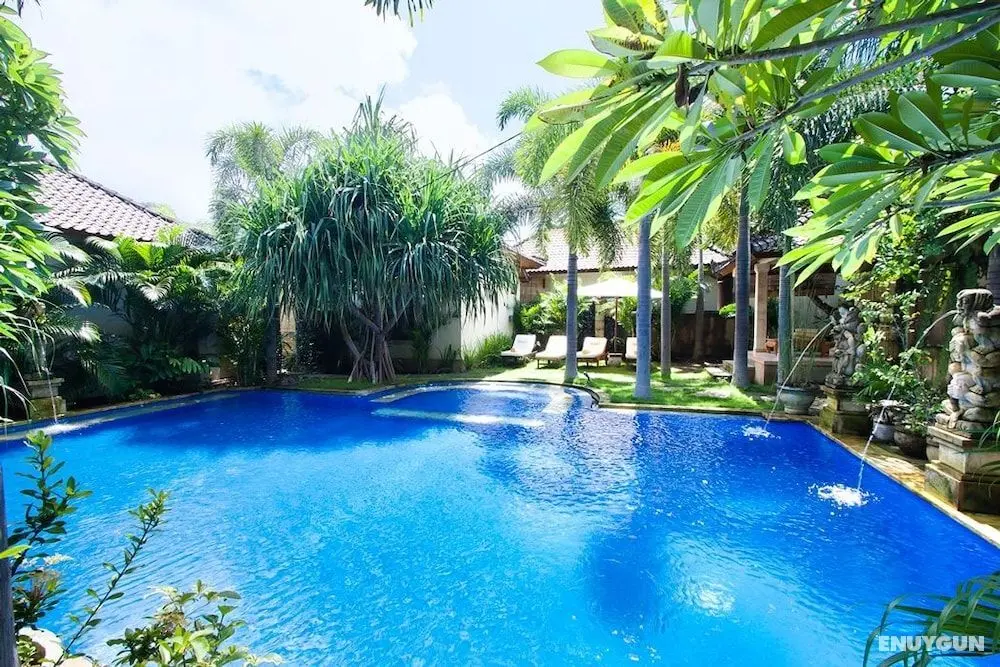 Pazzo Bali - Öne Çıkan Resim