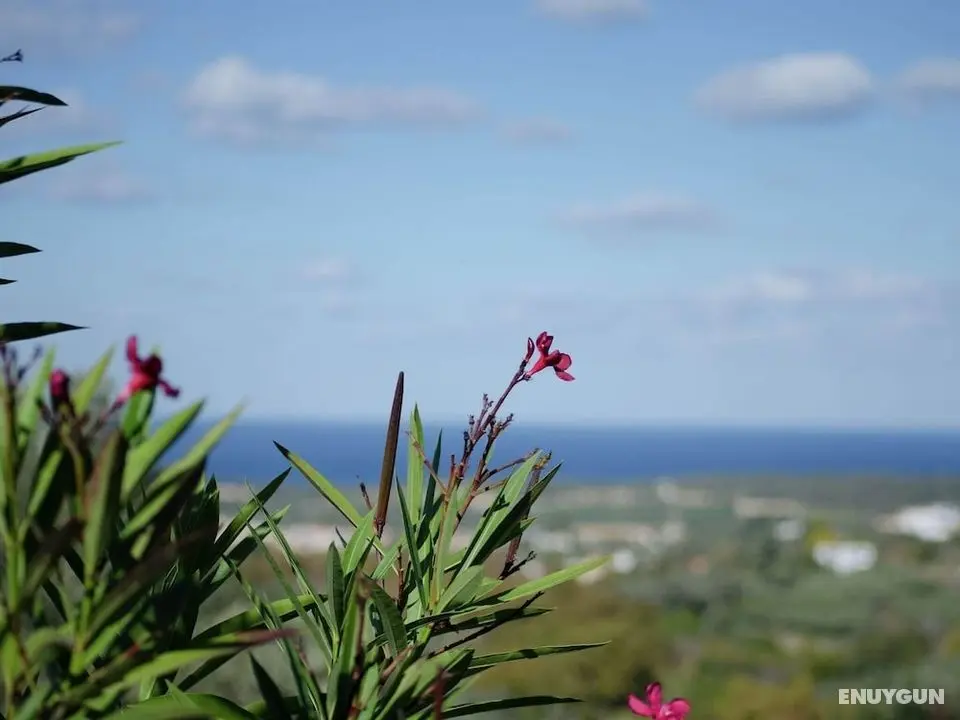 Peaceful Holiday Home in Agia Triada With Swimming Pool - Öne Çıkan Resim