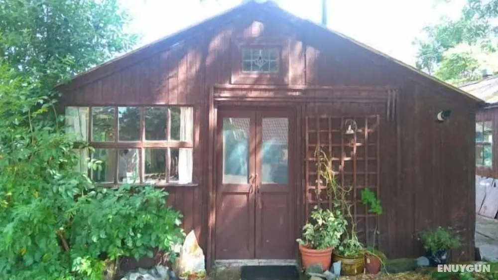 Pear Tree Farm - Öne Çıkan Resim