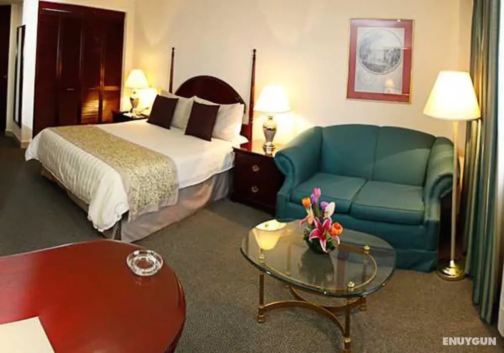Hotel Pedregal Palace - Öne Çıkan Resim