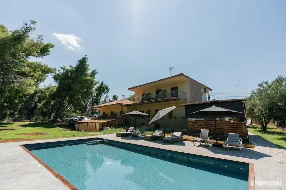 Pefkon Boutique Hotel - Öne Çıkan Resim