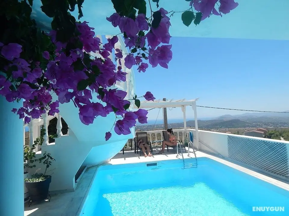 Peggy's Villa - Öne Çıkan Resim