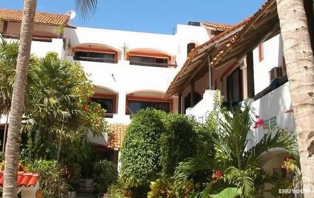 Pelicano Inn - Genel