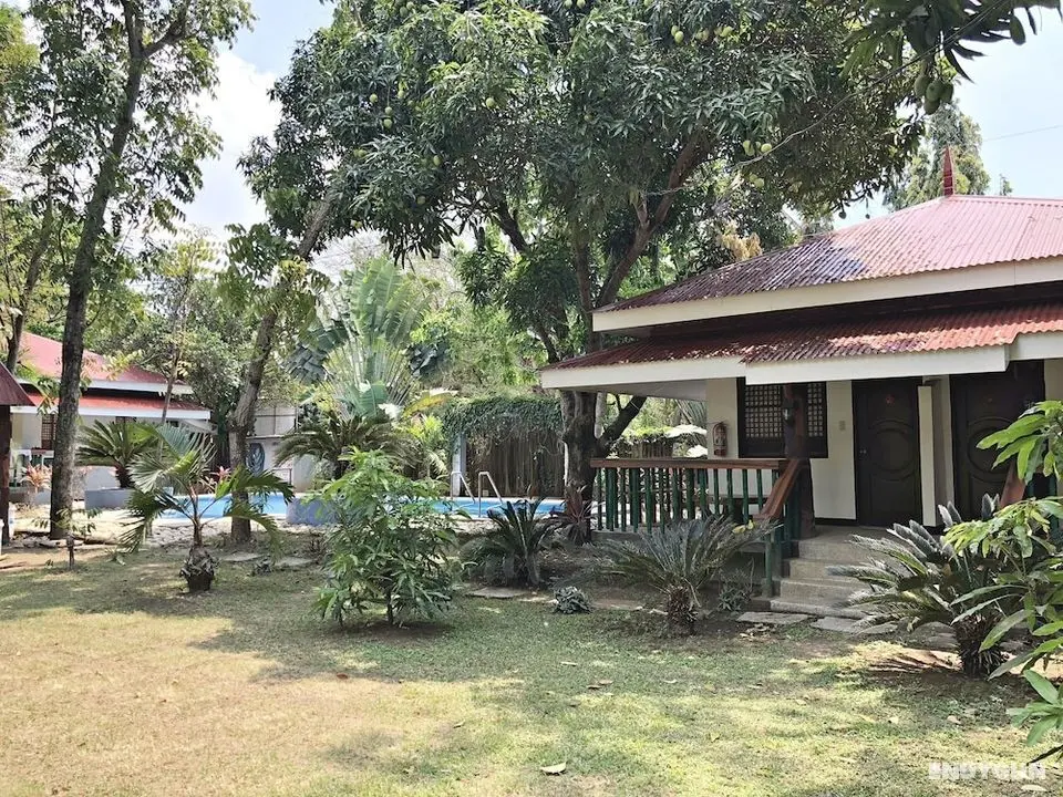 The Pelican's Resort - Öne Çıkan Resim