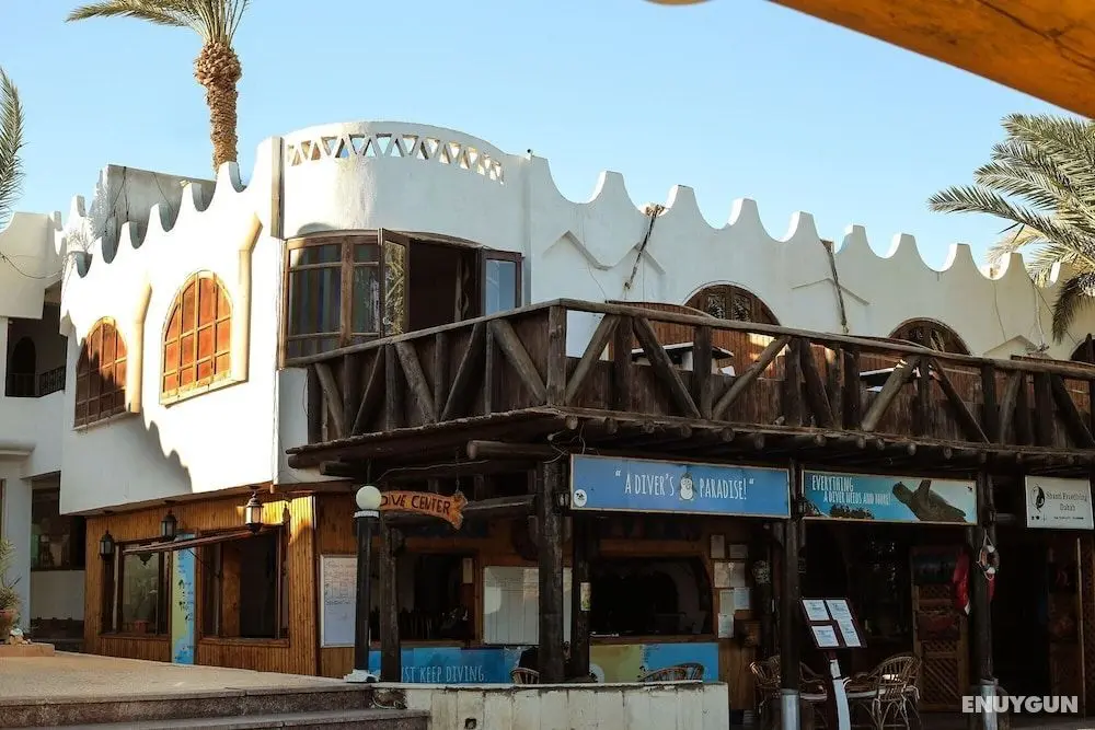 Penguin Village Dahab - Öne Çıkan Resim