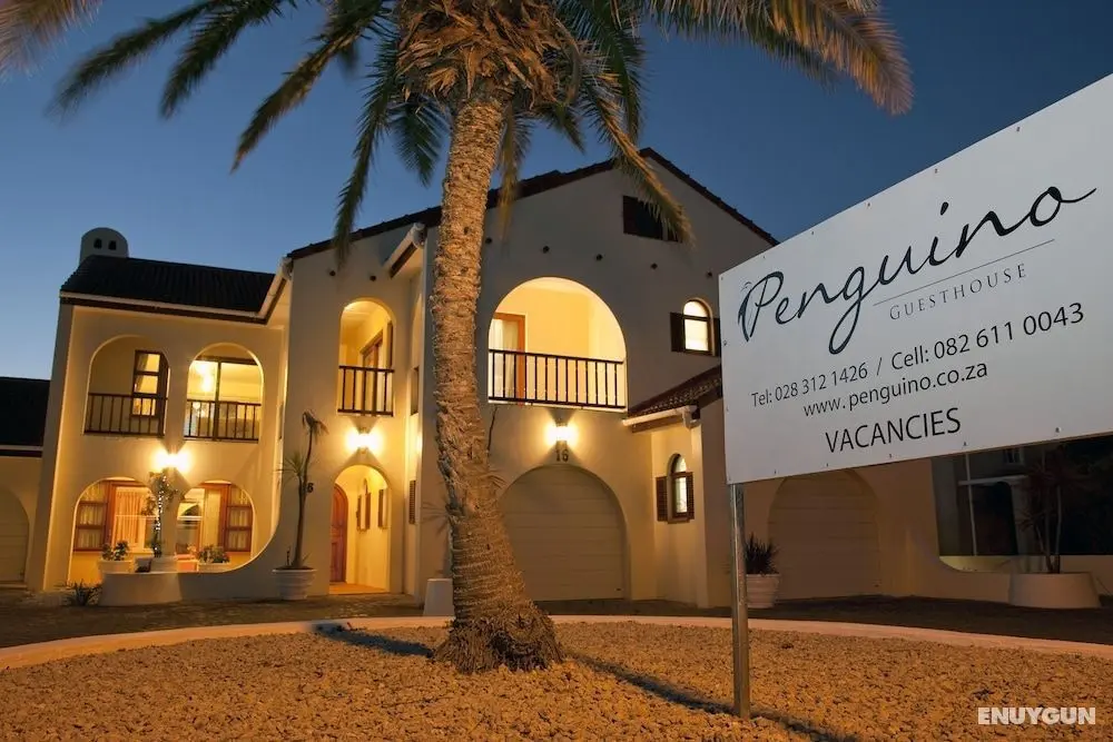 Penguino Guest House - Öne Çıkan Resim