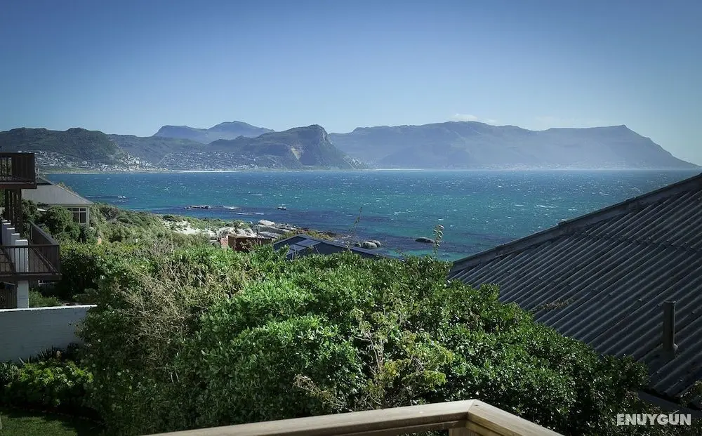 Penguins View Guesthouse - Oda Düzeni