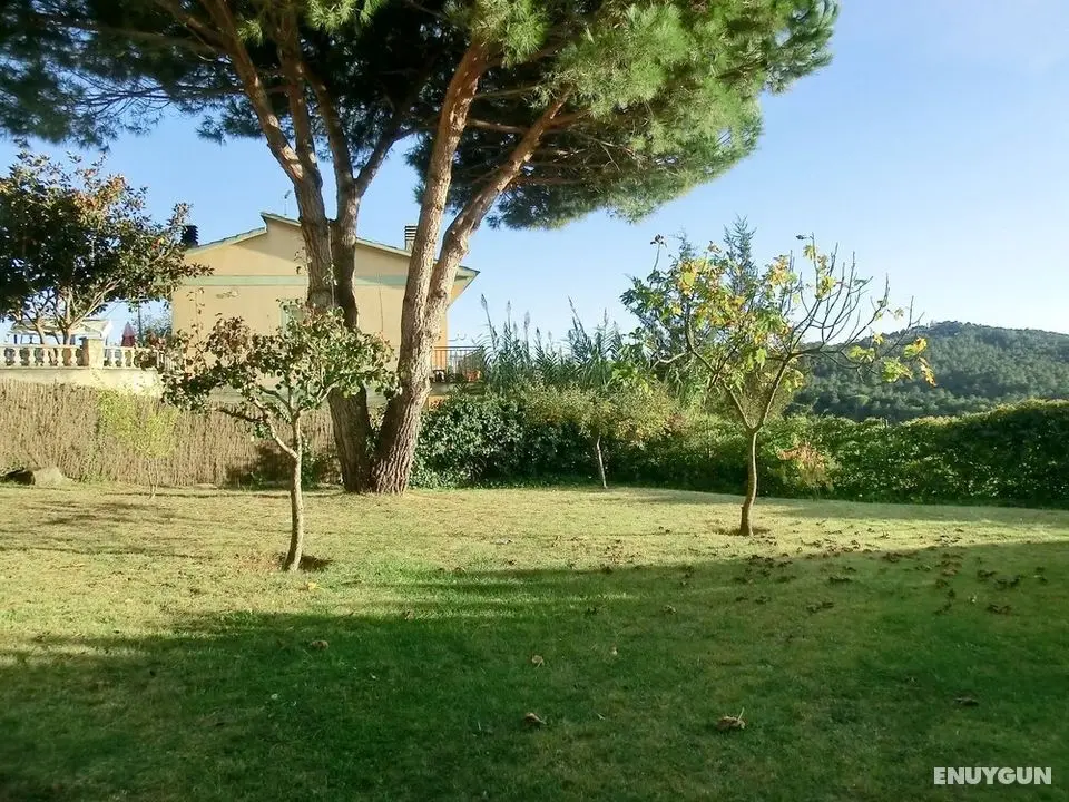 Villa Pensament - Dış Mekan