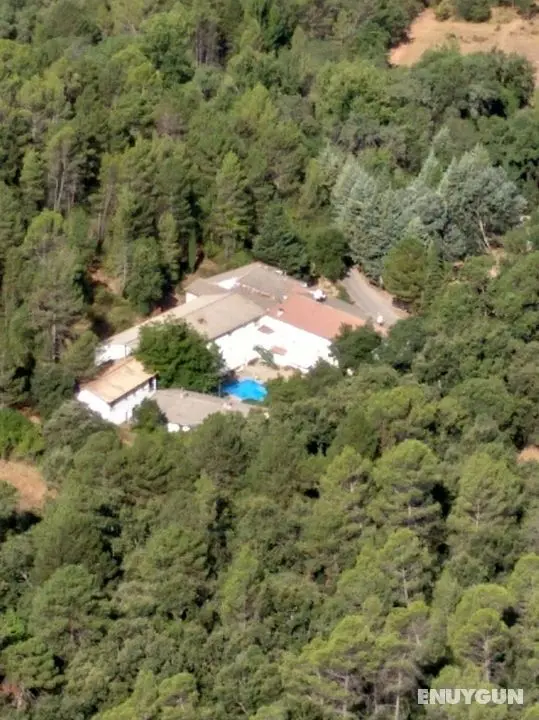 Pensión Arroyo de La Teja - Öne Çıkan Resim