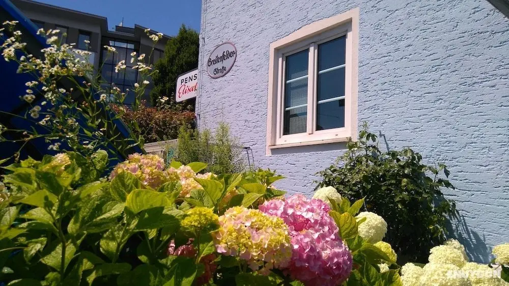 Pension Elisabeth - Rooms & Apartments - Öne Çıkan Resim