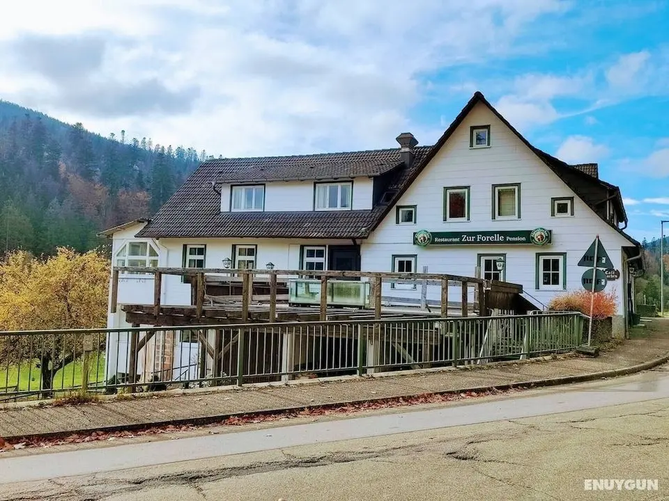 Pension Forelle - Doppelzimmer - Öne Çıkan Resim