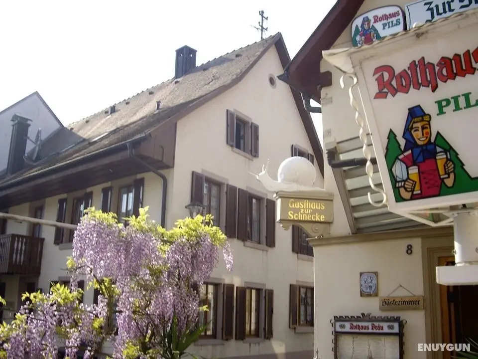 Pension Gasthaus zur Schnecke - Öne Çıkan Resim