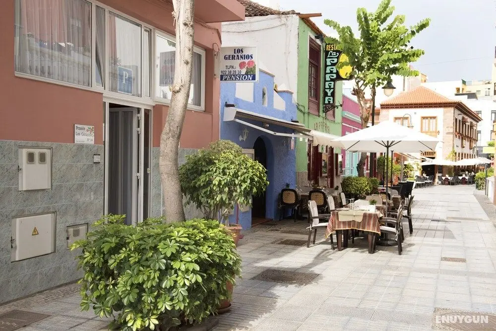 Pension Los Geranios - Dış Mekan