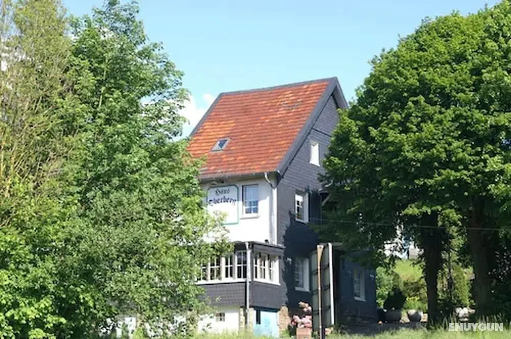 Pension Oberberg - Öne Çıkan Resim