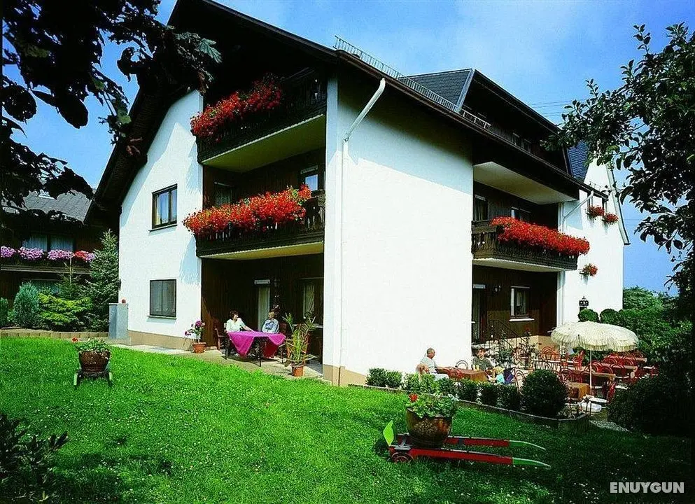 Pension Waldesruh - Manzara / Peyzaj