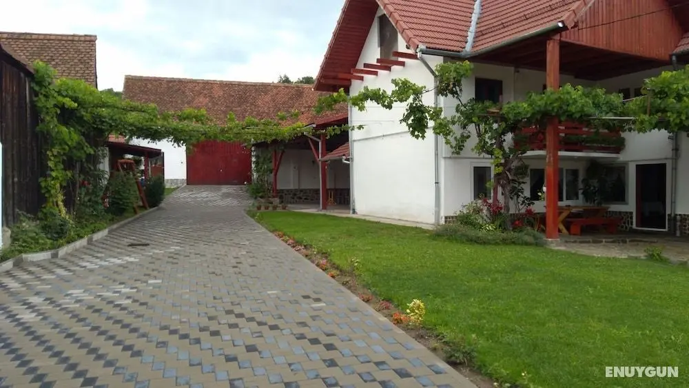 Pensiunea Flori - Öne Çıkan Resim