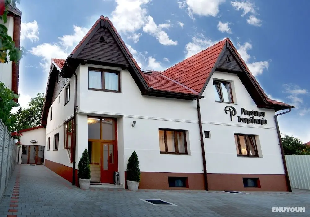 Pensiunea Transilvania - Öne Çıkan Resim