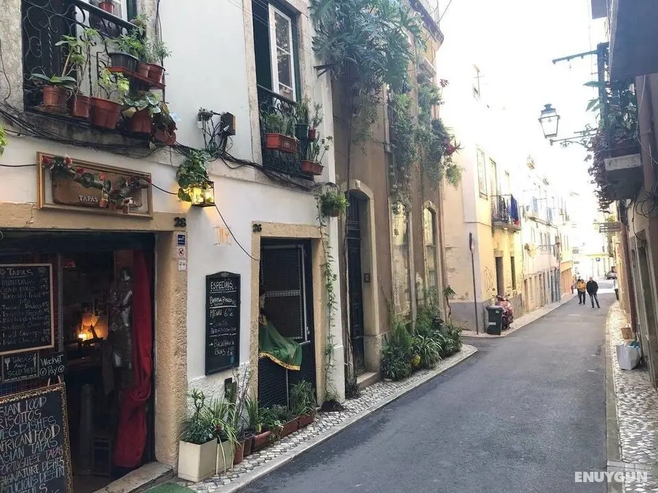 Perfect Historic Center Apartment - Dış Mekan