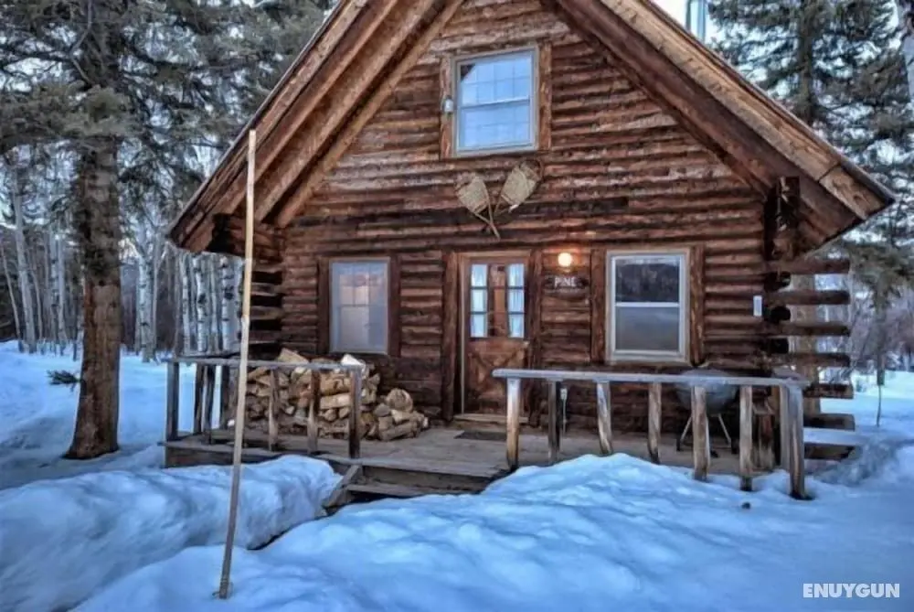 Perry Mansfield - Pine Cabin - Öne Çıkan Resim