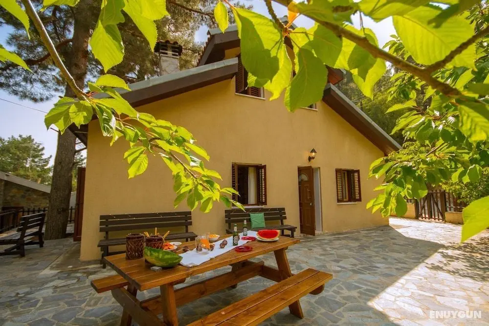 Persephone Cottage - Enhance Your Senses - Öne Çıkan Resim