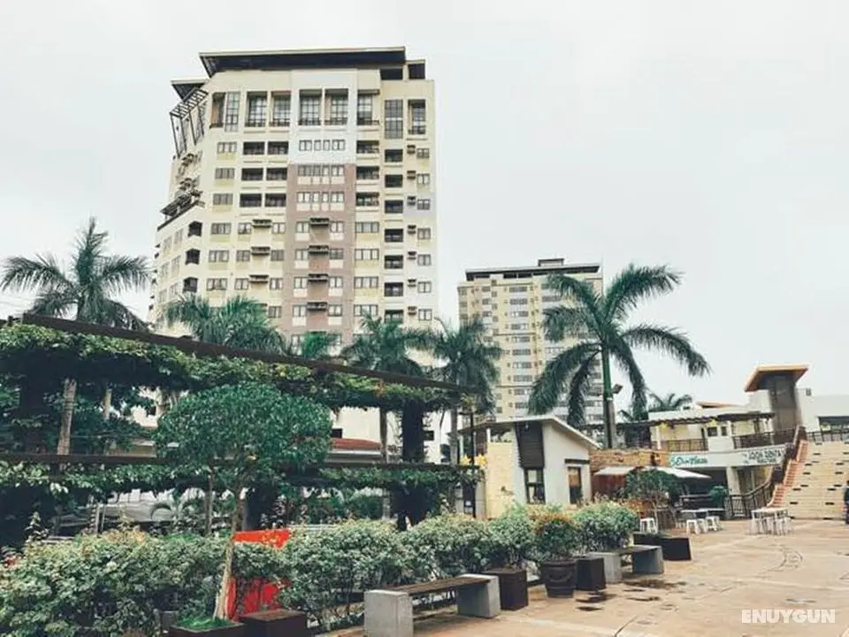 The Persimmon Cebu by Sleepingpong - Öne Çıkan Resim