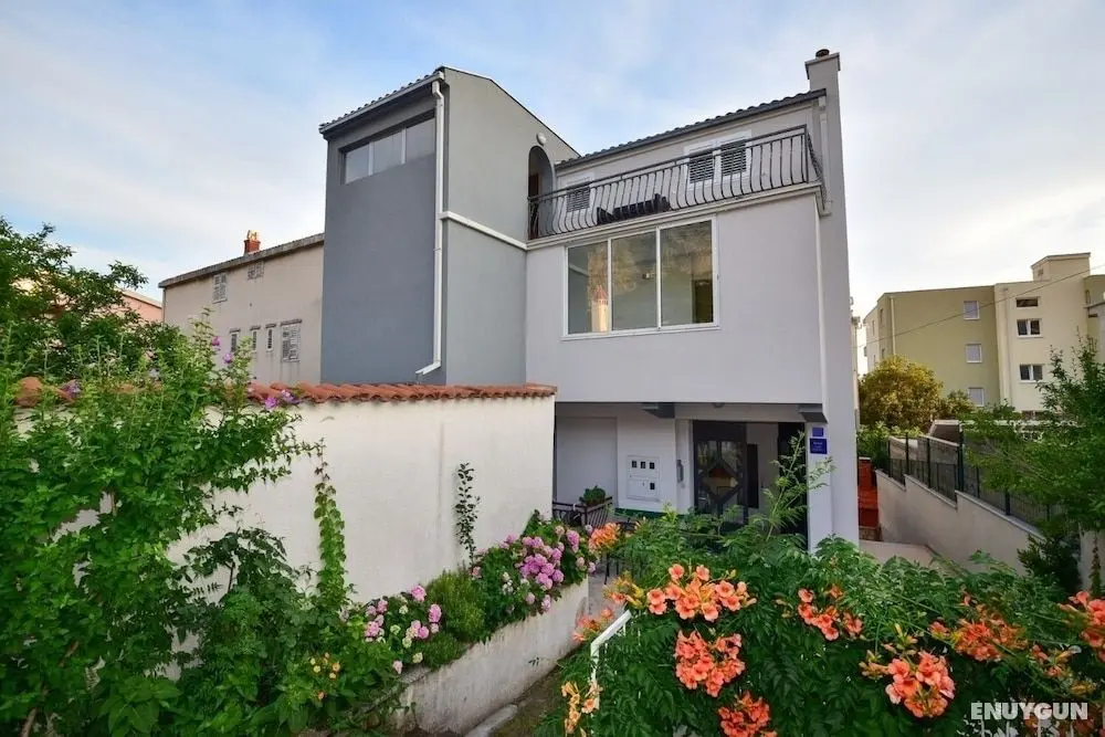 Pet - 300 m From Beach - A1 - Dış Mekan