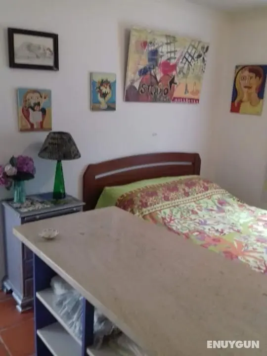 Pet Friendly Barbecue Parkingmystay - Oda