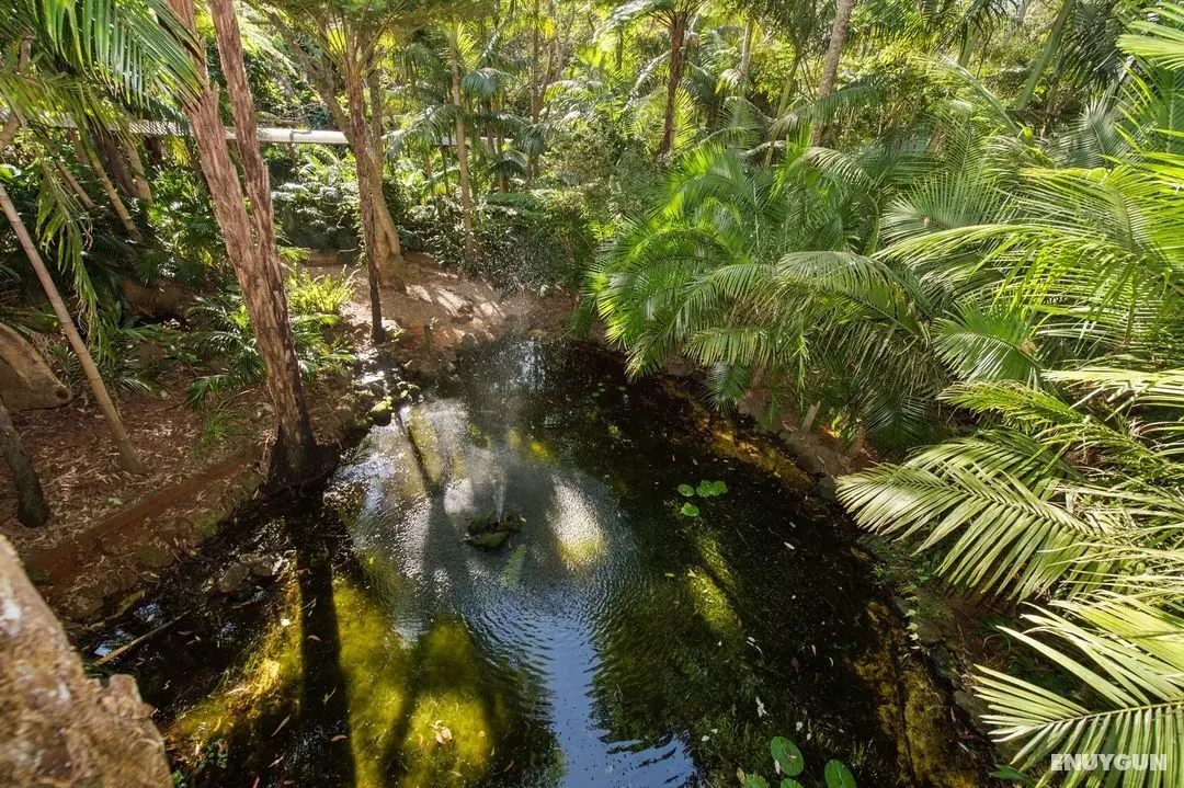 Pethers Rainforest Retreat - Dış Mekan