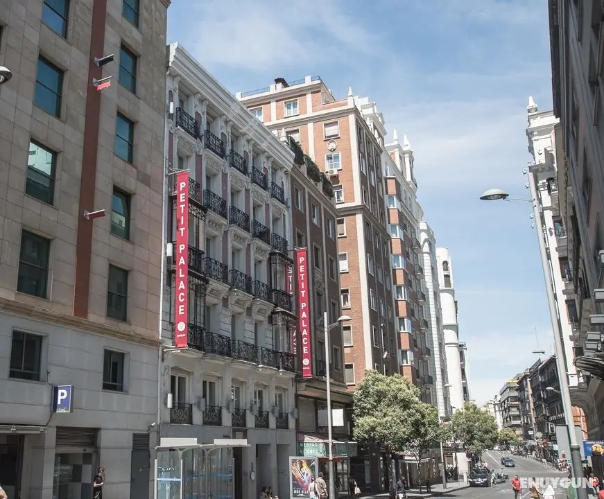 Petit Palace Plaza España - Genel