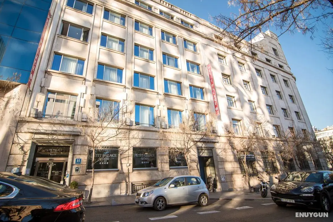 Petit Palace President Castellana - Genel