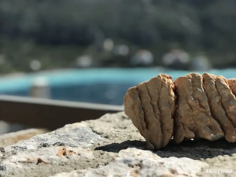 Petra Boutique Homes - Öne Çıkan Resim