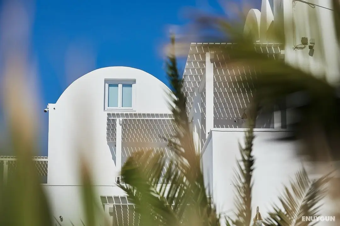 Petri Suites - Genel