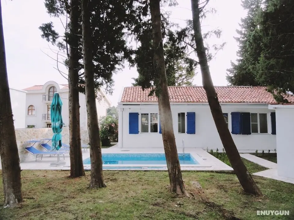 Petrovac Holiday House with pool - Öne Çıkan Resim