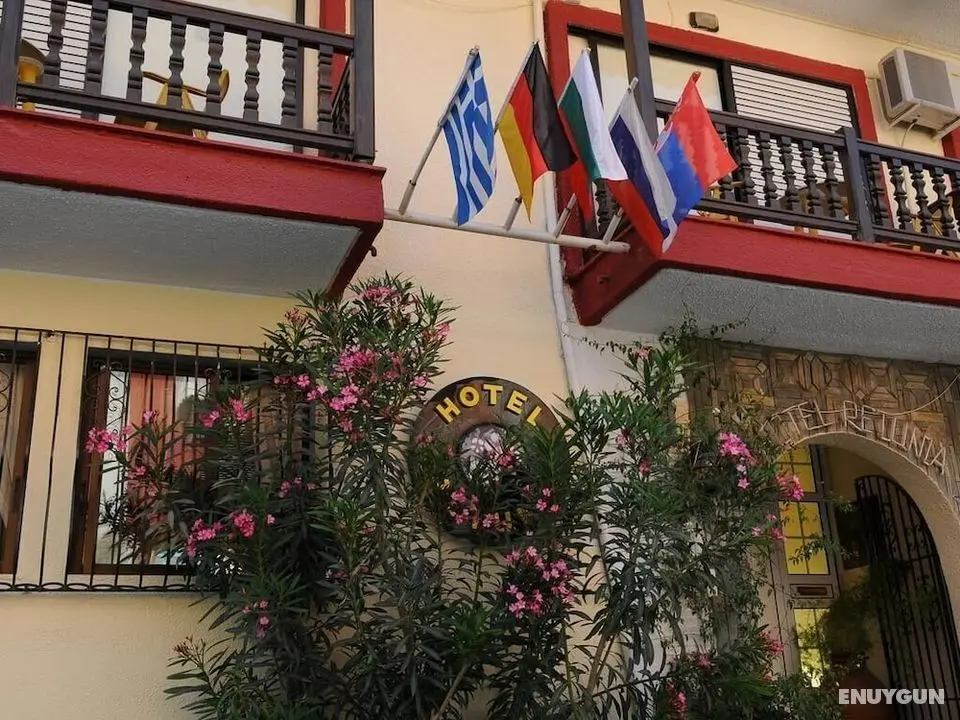 Hotel Petunia - Öne Çıkan Resim