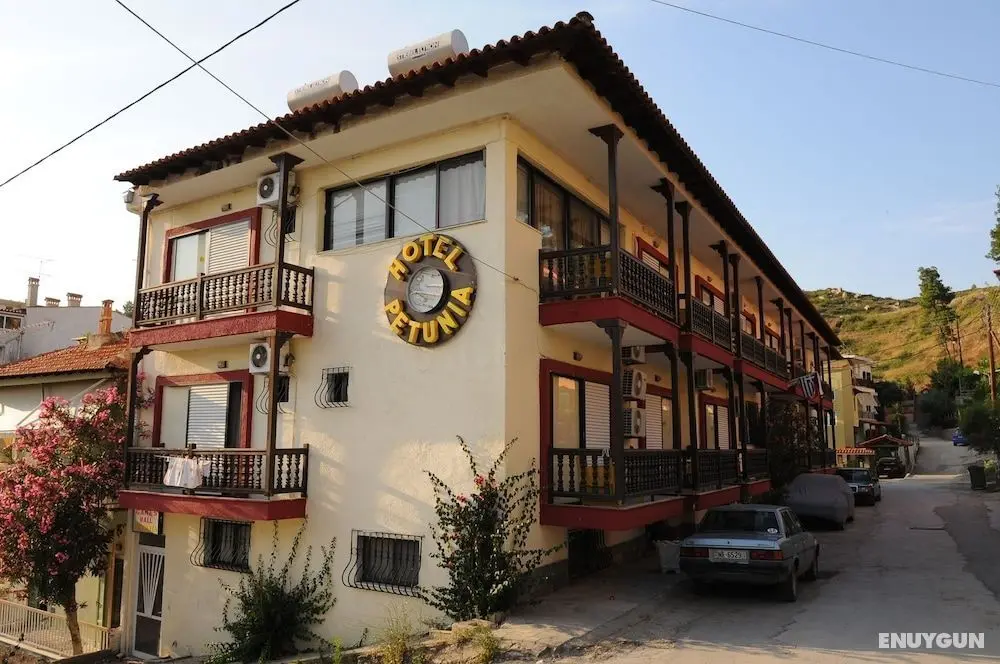 Hotel Petunia - Öne Çıkan Resim