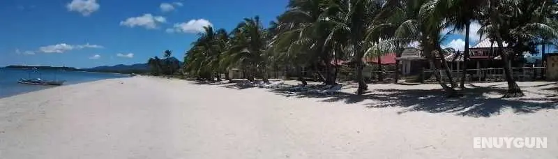 Phaidon Beach Resort - Genel