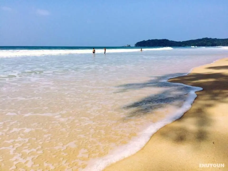 Phayam Coconut Beach Resort - Öne Çıkan Resim