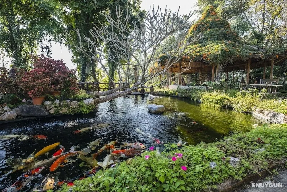 Phu Chaisai Mountain Resort - Öne Çıkan Resim