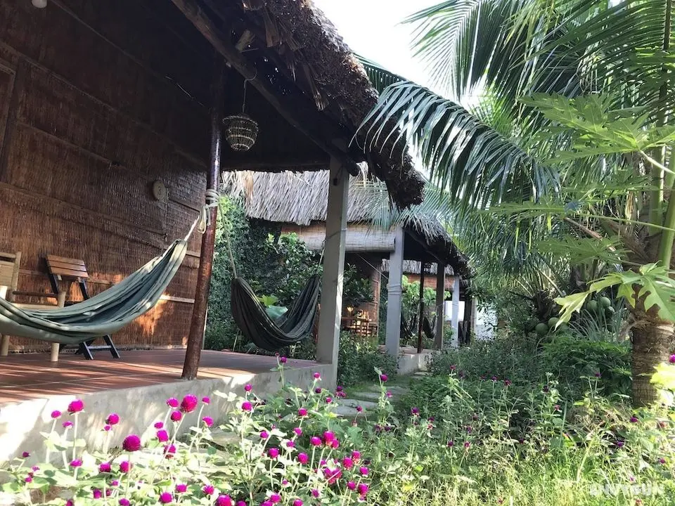 Phuc Sinh Homestay - Öne Çıkan Resim